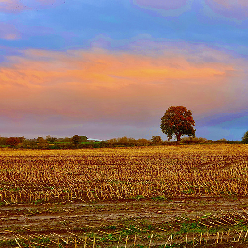 Gnosall dawn