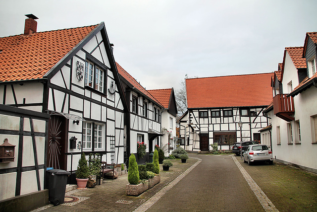 Apoestelstraße, Fachwerkhäuser (Altes Dorf Westerholt, Herten) / 21.11.2020