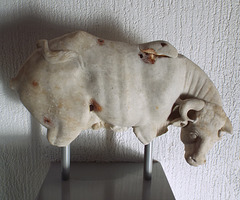 Marble Cow in the Lugdunum Gallo-Roman Museum, October 2022