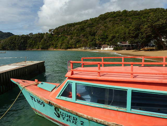 Frank's glass-bottomed boat, Tobago, Day 3