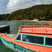 Frank's glass-bottomed boat, Tobago, Day 3