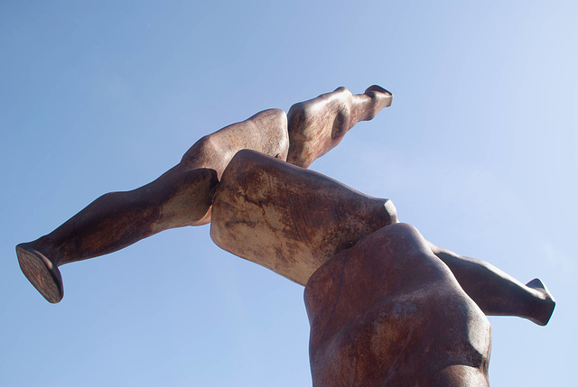 RIZOMA von Antony Gormley