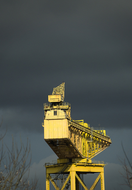 Yellow Cranes On The Tyne