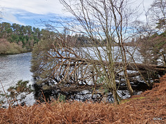 Loch Oire