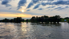 Abendstimmung am Rhein