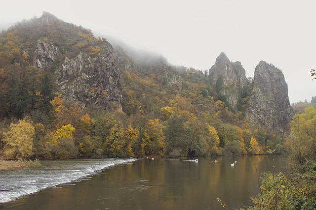 312 von 365 312 von 365