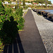 esplanade to the port in Stanley