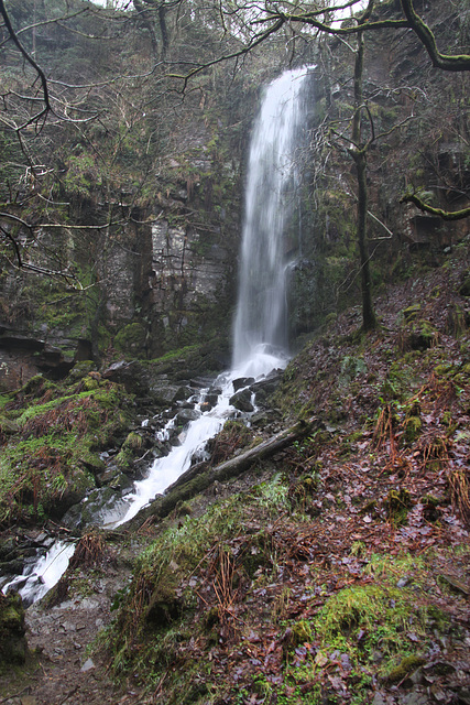 Melincourt Waterfall