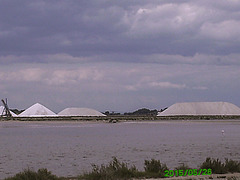 20150526 0129PSw [F] Saline, Aigues Mortes, Camargue