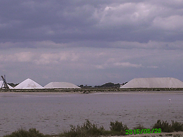 20150526 0129PSw [F] Saline, Aigues Mortes, Camargue