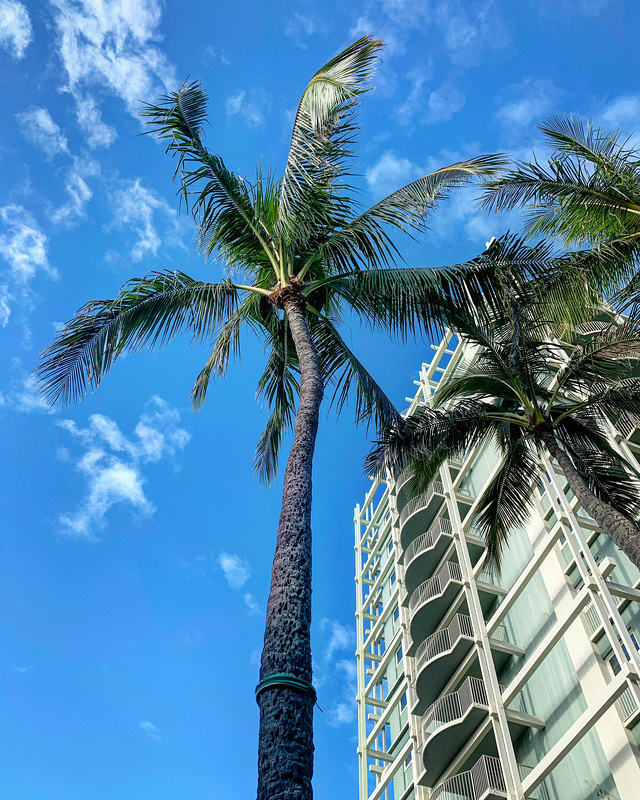 at the Kahala Hotel