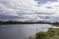 am Torne älv, Blick nach Finnland (© Buelipix)