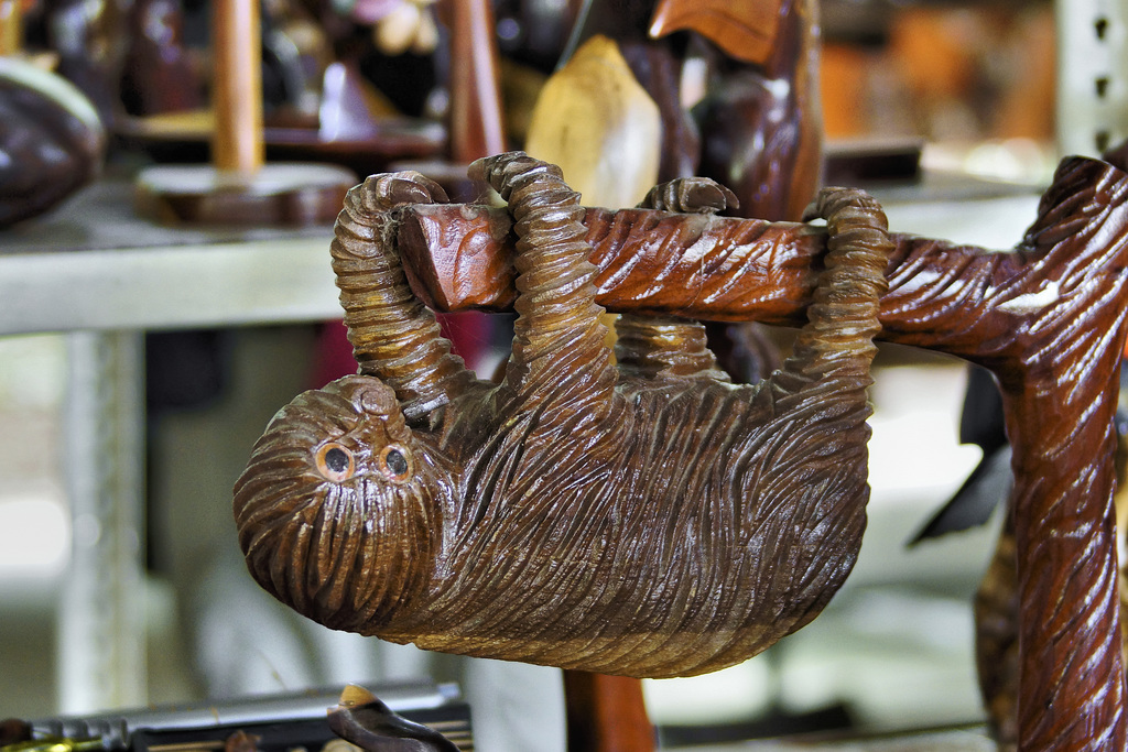 A Sloth in the Gift Shop – Jungle Crocodile Safari, Tárcoles, Puntarenas Province, Costa Rica