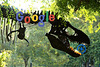 Exodus from Egypt completed: Buon appetì, Googlesaurus-Rex