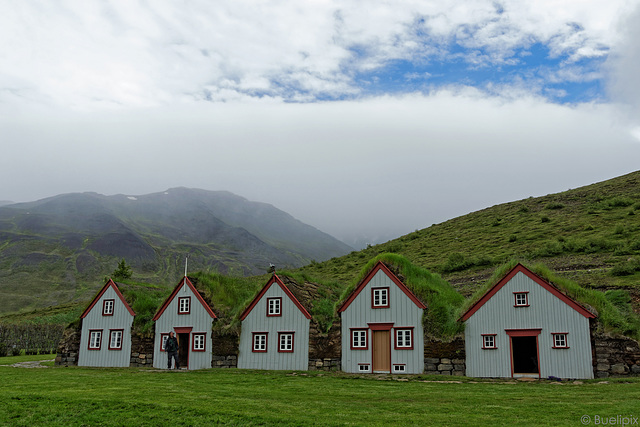 der Museumshof Laufás (© Buelipix)