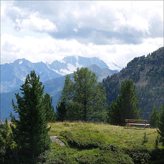 A bench with a view.