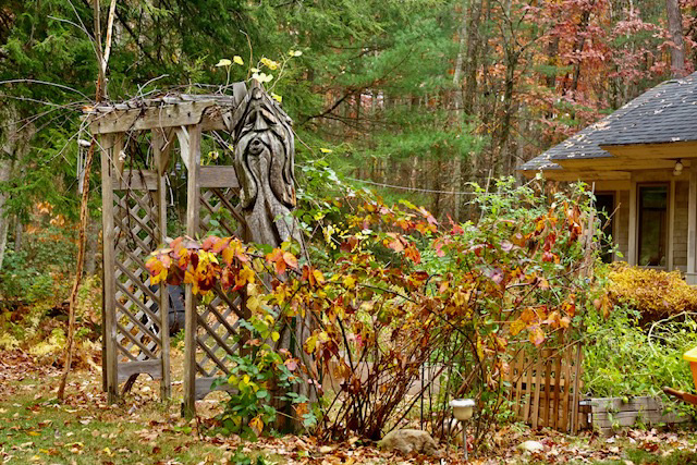 The Druid In Our Garden