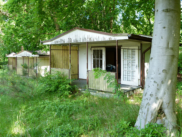 Wald-Ferienhaus-Siedlung aus alten Zeiten