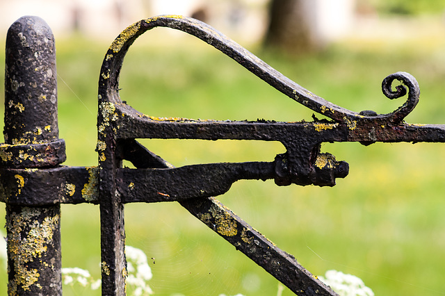 Lichen Clad Gate