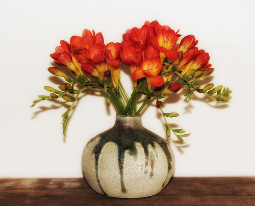 freesias