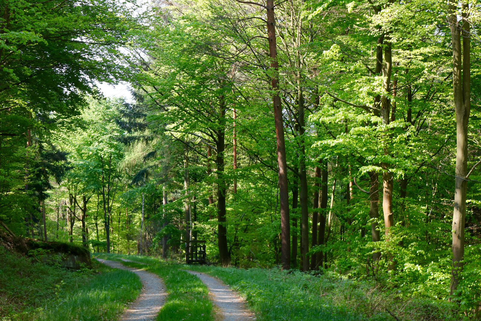 A Postcard from the Spring in Northern Bavaria