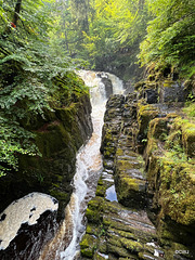 The Waterfall on the River Braan at The Hermitage
