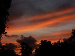 Bain de Nature, Bain de Nature,