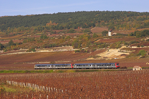 Caravelles bourguignonnes