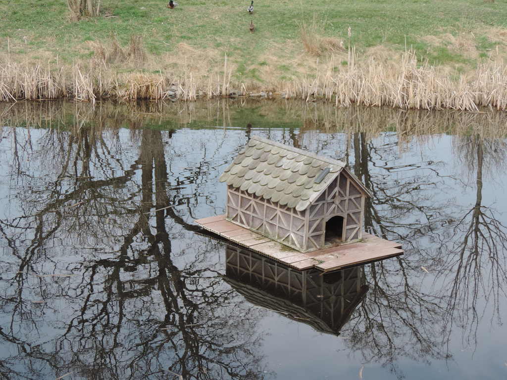 Villa für Wildenten