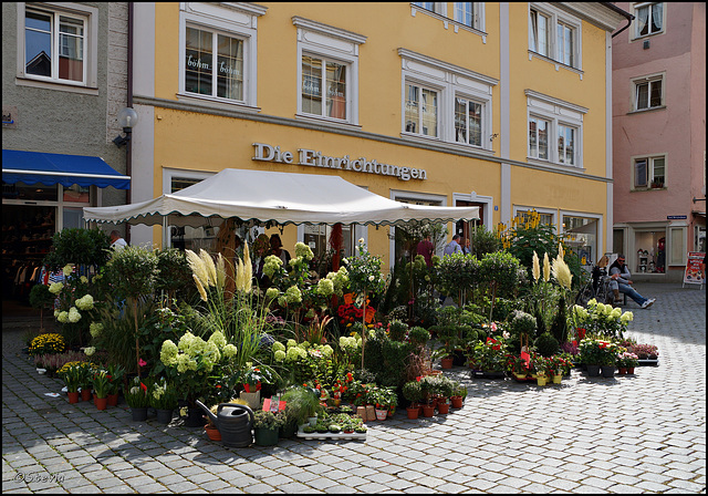 Wie eine Blumeninsel...