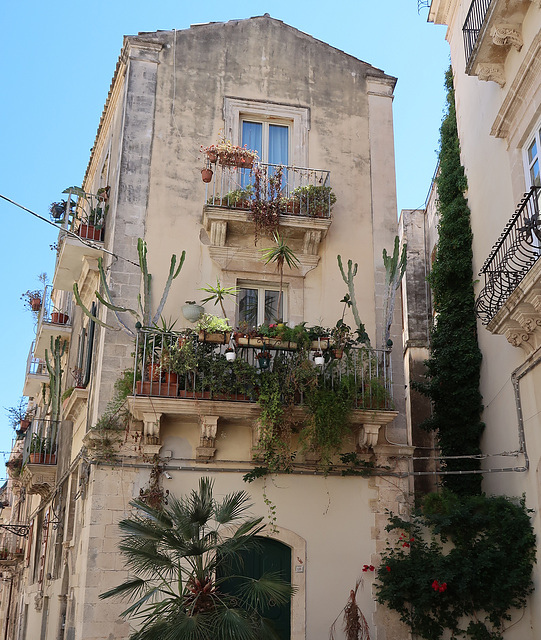 Botanical balcony