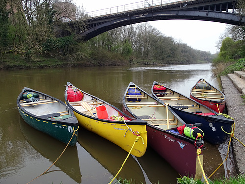 Colourful Canoes