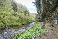 Limestone overhangs in 'Cheedale' from 'Millersdale'