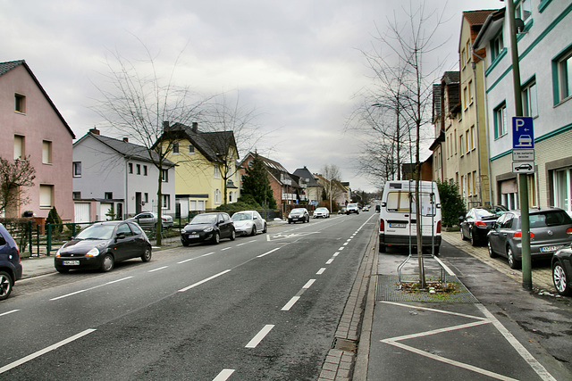 Große Werlstraße (Hamm-Wiescherhöfen) / 3.02.2019