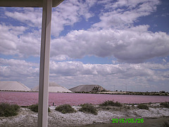 20150526 0135PSw [F] Saline, Aigues Mortes, Camargue