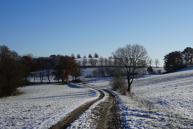 Spaziergang bei -9°C