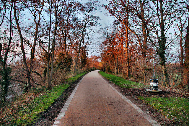 Broicher Damm, ehemals Trasse der Unteren Ruhrtalbahn (Mülheim-Speldorf) / 7.01.2023