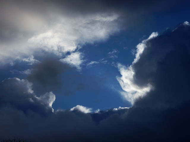 la tete dans les nuages