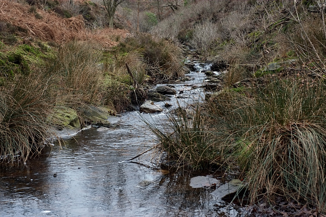 Middle Moor brook