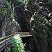 oberhalb der Staufensees - am Ende der Alplochschlucht (© B