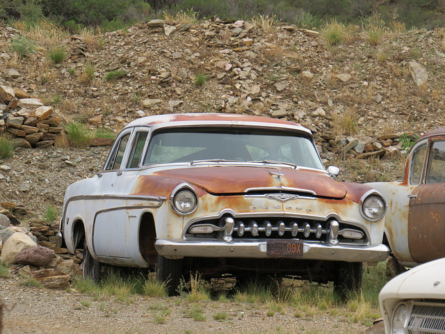 1955 DeSoto Firedome