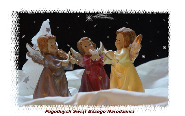 Pogodnych Świąt 2018 / Merry Christmas for everyone