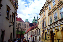 PL - Krakau - Unterhalb des Wawel