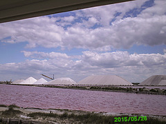 20150526 0137PSw [F] Saline, Aigues Mortes, Camargue