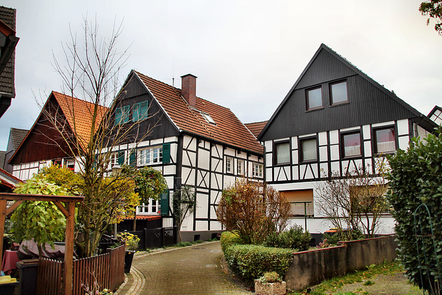 Fachwerkhäuser an der Brandstraße (Altes Dorf Westerholt, Herten) / 21.11.2020
