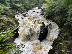 The Waterfall on the River Braan at The Hermitage
