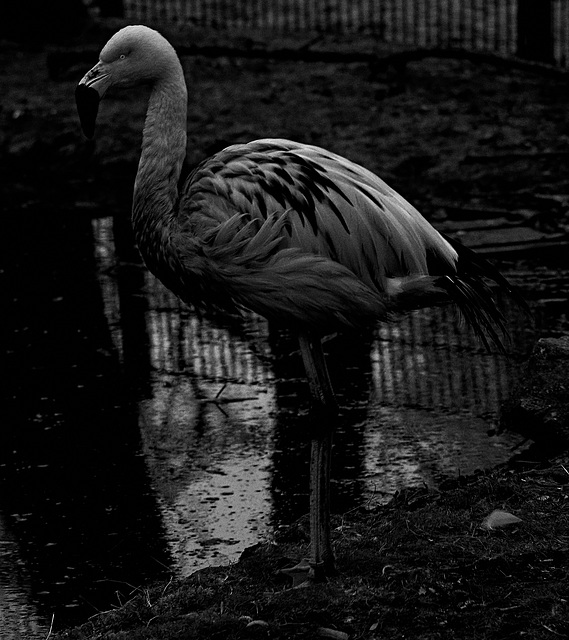 Tierpark Straubing