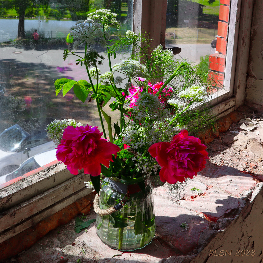 Blümchen am Fenster