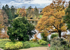 Schlosspark in Bad Homburg