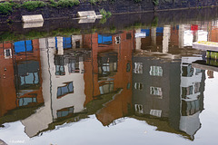 Happy Wiggly Water Wall Wednesday